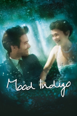 Watch Mood Indigo (2013) Online FREE