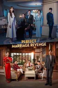 Watch Perfect Marriage Revenge (2023) Online FREE
