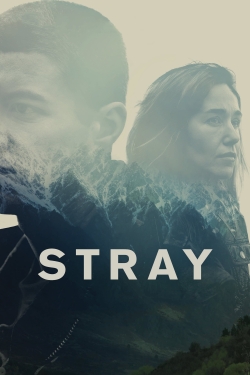 Watch Stray (2018) Online FREE