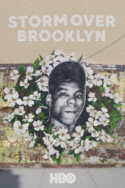 Watch Yusuf Hawkins: Storm Over Brooklyn (2020) Online FREE