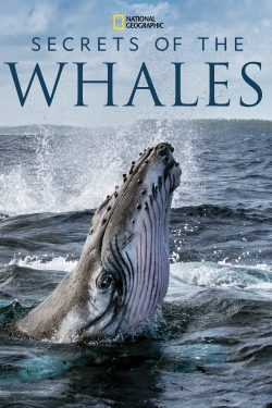 Watch Secrets of the Whales (2021) Online FREE