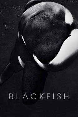 Watch Blackfish (2013) Online FREE