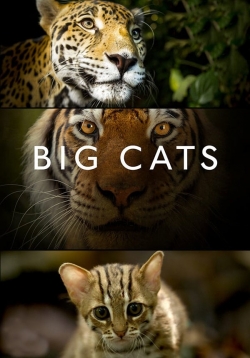 Watch Big Cats (2018) Online FREE