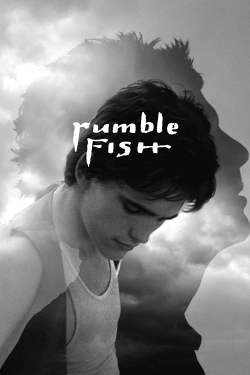 Watch Rumble Fish (1983) Online FREE