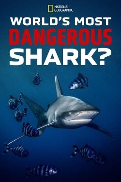 Watch World's Most Dangerous Shark? (2023) Online FREE