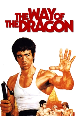 Watch The Way of the Dragon (1972) Online FREE