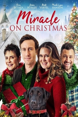 Watch Miracle on Christmas (2020) Online FREE