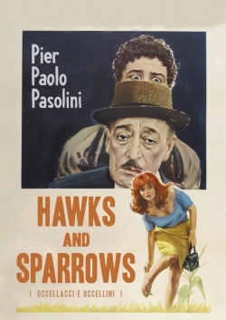 Watch Hawks and Sparrows (1966) Online FREE