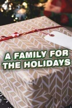 Watch A Family for the Holidays (2017) Online FREE
