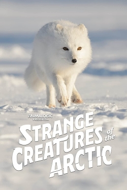 Watch Strange Creatures of the Arctic (2022) Online FREE