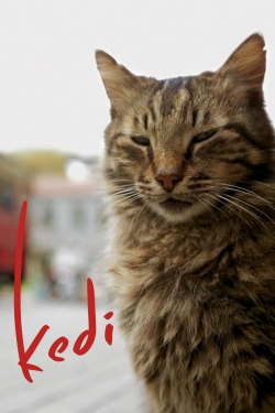 Watch Kedi (2017) Online FREE