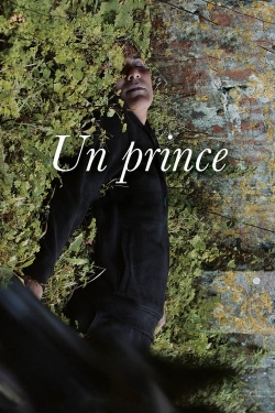 Watch A Prince (2023) Online FREE