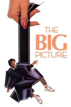 Watch The Big Picture (1989) Online FREE