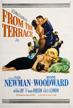 Watch From the Terrace (1960) Online FREE