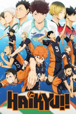 Watch Haikyu!! (2014) Online FREE