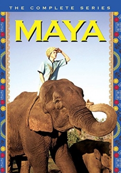 Watch Maya (1967) Online FREE