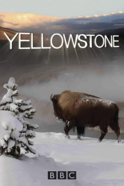 Watch Yellowstone (2009) Online FREE