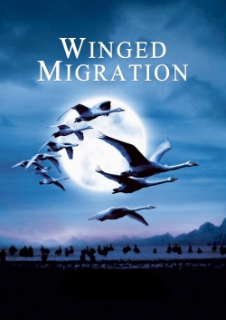 Watch Winged Migration (2001) Online FREE