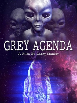Watch Grey Agenda (2017) Online FREE