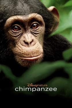 Watch Chimpanzee (2012) Online FREE