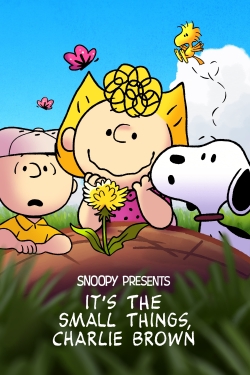 Watch Snoopy Presents: It’s the Small Things, Charlie Brown (2022) Online FREE