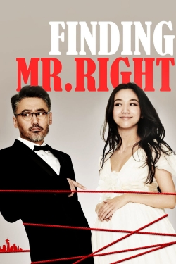Watch Finding Mr. Right (2013) Online FREE