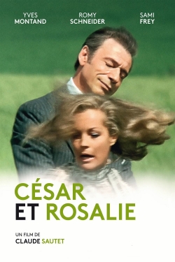 Watch Cesar and Rosalie (1972) Online FREE