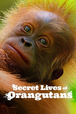 Watch Secret Lives of Orangutans (2024) Online FREE