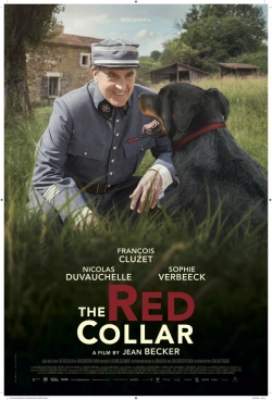 Watch The Red Collar (2018) Online FREE