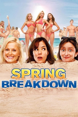 Watch Spring Breakdown (2009) Online FREE