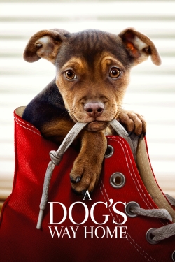 Watch A Dog's Way Home (2019) Online FREE