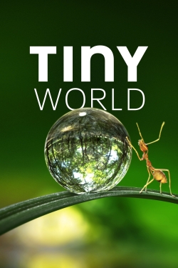 Watch Tiny World (2020) Online FREE