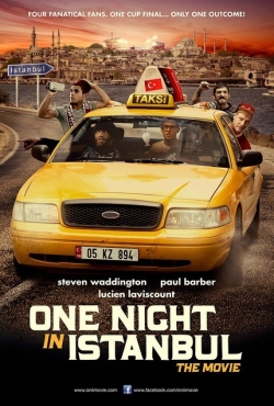 Watch One Night in Istanbul (2014) Online FREE