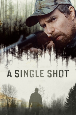 Watch A Single Shot (2013) Online FREE