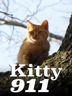 Watch Kitty 911 (2016) Online FREE