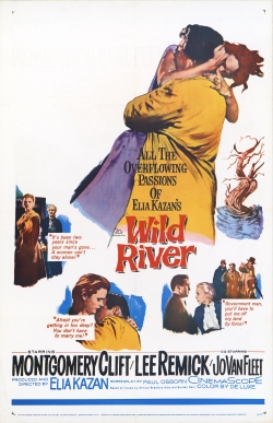 Watch Wild River (1960) Online FREE