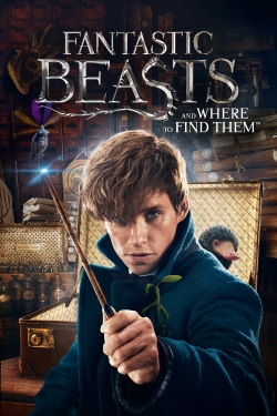 Watch Fantastic Beasts and Where to Find Them (2016) Online FREE