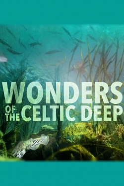 Watch Wonders of the Celtic Deep (2021) Online FREE