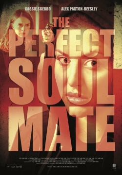 Watch The Perfect Soulmate (2017) Online FREE