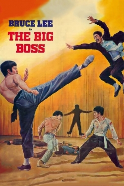 Watch The Big Boss (1971) Online FREE