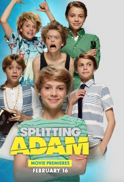 Watch Splitting Adam (2015) Online FREE
